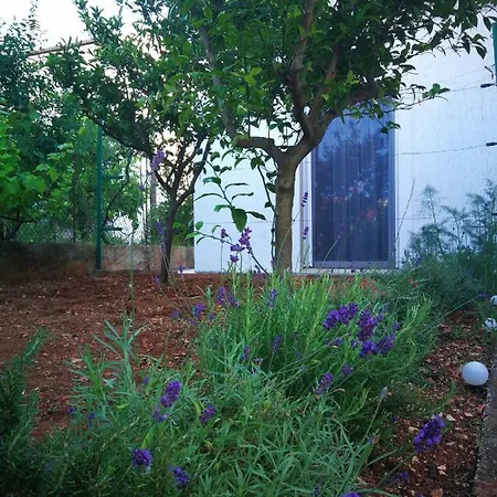 Griva Apartamento